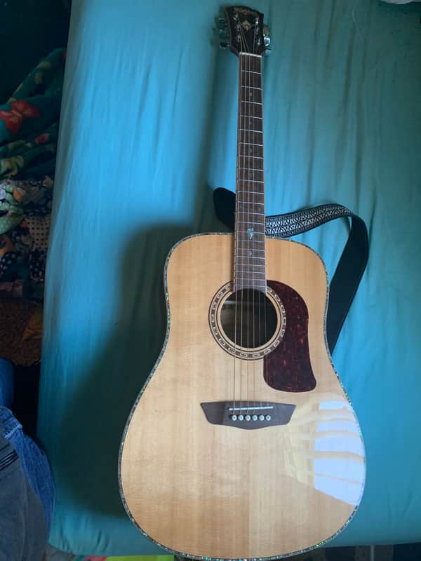 Washburn HD80S-L-U image 1