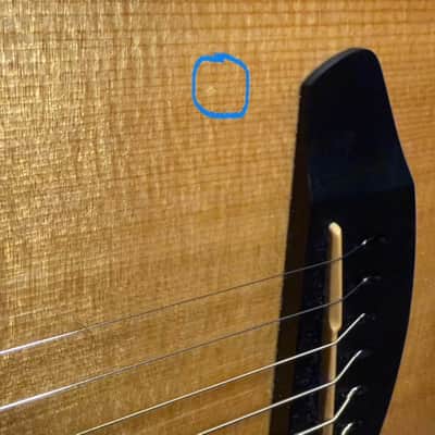 Breedlove Oregon Concert Acoustic/Electric Guitar image 5