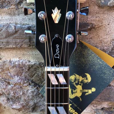 Gibson Dove 1973-1974 - Ebony image 9
