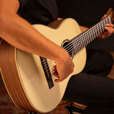 Ortega R133-7 Pro Solid Spruce Top Nato Neck Nylon 7-String Classical Acoustic Guitar w/Gig Bag image 18
