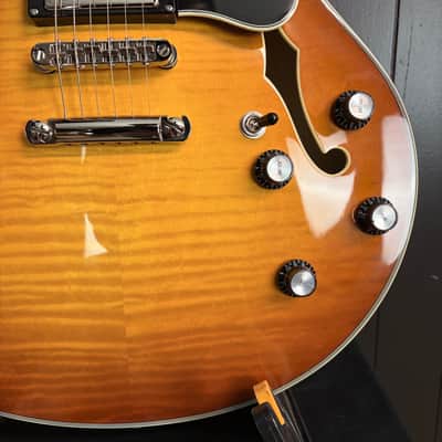 Eastman Guitars T486-GB Thinline Semi-hollowbody Electric Guitar, Goldburst 819 image 8