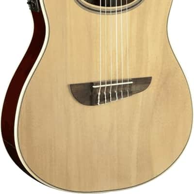 EKO NXT N100CWE-NAT Classical Guitar with Nylon String and Pickup/Preamp  | Cutaway image 2