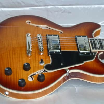 D'Angelico Premier DC Mini 2023 - Iced Tea Burst image 1