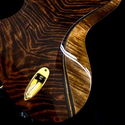 Bezard Guitars Famine 5 String Fretless, Custom Shop, Single Cut Boutique Bass image 19