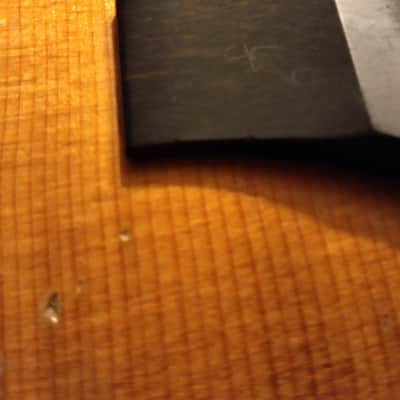 Taylor 422R Rosewood 1996 - 1997  Limited Edition image 21