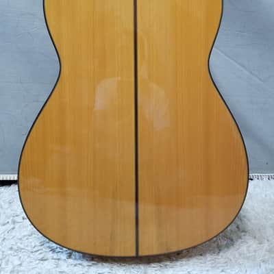 Aria Flamenco AC-150F (Spain) image 13