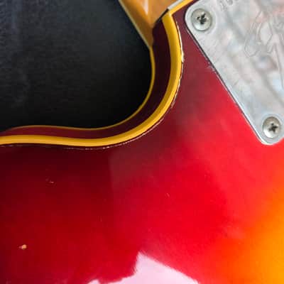 Vintage 1967 Fender Coronado XII Twelve String Hollowbody Electric Guitar w/ Case! image 15