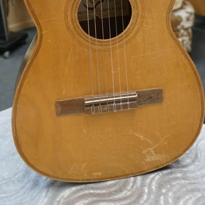 Giannini  Model No. 2  1966 image 1