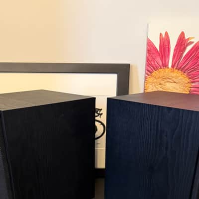 Klipsch Klipsch R-41M Bookshelf Home Speakers image 6