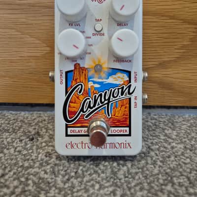 Electro-Harmonix Canyon 2017 - Present - White image 1