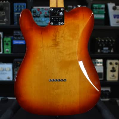 Fender Player Plus Nashville Telecaster with Pau Ferro Fretboard 2023 - Present - Sienna Sunburst image 16