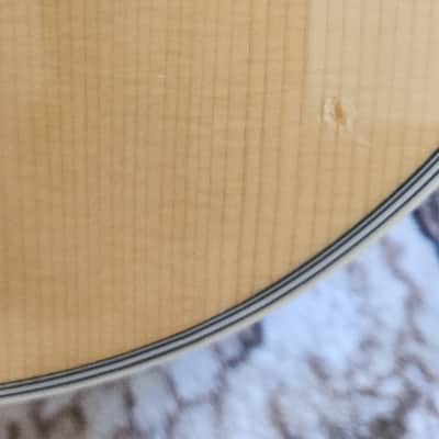 Taylor 810 BCE Special Edition 2000 - Brazillion Rosewood Back and Sides image 4