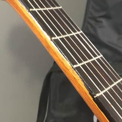 Vintage Jose Luis Velazquez Classical Nylon String Spanish Guitar Made in Mexico Solid Woods Original Case image 20