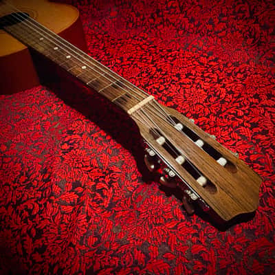 Vintage 1965 Giannini Model 6 image 6