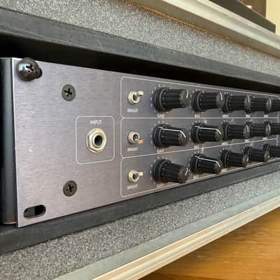 Custom Audio Electronics 3+ 90’s - Grey with road case image 2