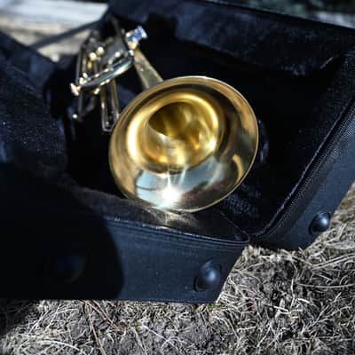 Bb Bass Trumpet - Scratched and Buffed Lacquer - NEW student model / great as a secondary or marching horn image 9
