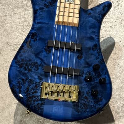 Spector Euro 5 CST Black & Blue w/White Back Gloss [3.98kg] image 1
