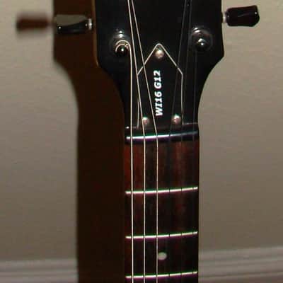Washburn WI16 G12 Idol Solar Skull - Rare Guitar image 3