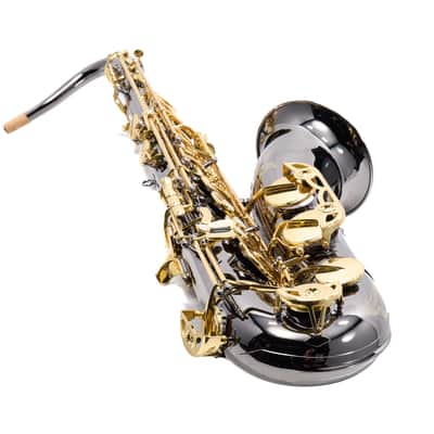 Selmer Model STS511B Intermediate Tenor Saxophone in Black Lacquer MINT CONDITION image 19