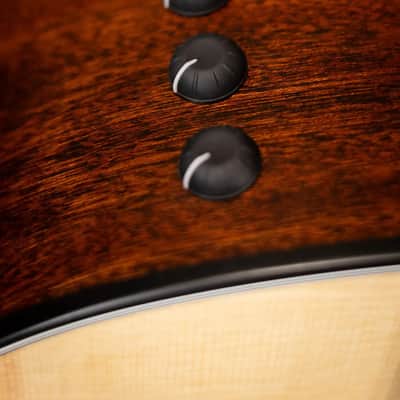 Taylor 314ce-N Nylon Grand Auditorium Acoustic/Electric Guitar with Hardshell Case image 14
