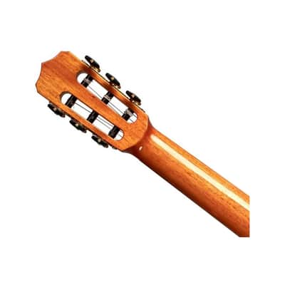 Cordoba Fusion Stage Cutaway A/E Nylon String Guitar - Natural Amber - Open Box image 5