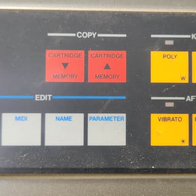 Roland JX-8P Polyphonic Synthesizer 1980s Japan image 8
