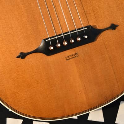 ✴️ Video Included – Restored 1920s G. Herrnsdorf Antique Pre-war German Lute Guitar – Great Condition and Wonderful Sound image 6