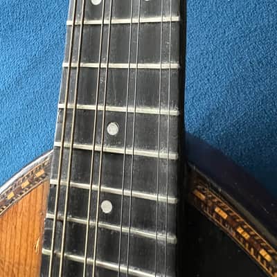 Wurlitzer Solid Spruce Top & Wood Purfling Mandolin 1920’s image 17