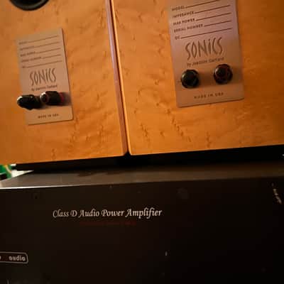 Sonics Anima by Joachim Gerhard with Class D Amp image 7