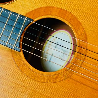 Rare Taylor NS52ce (2003) – Jason Mraz Spec – USA Made – Fishman image 23
