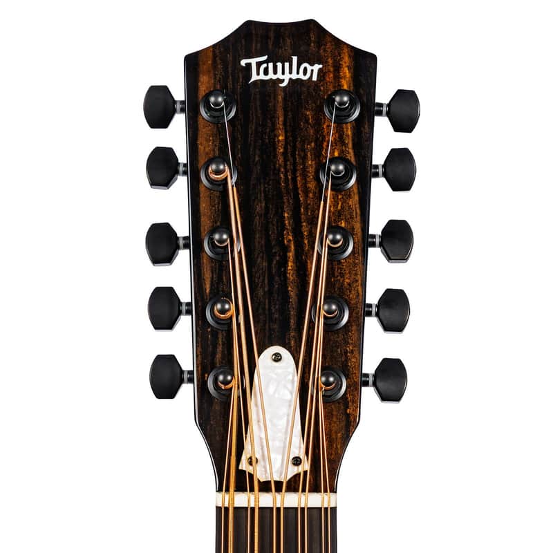 Taylor 250ce-BLK Plus Bajo Quinto image 3
