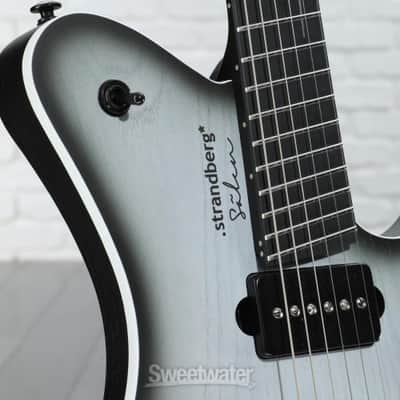 Strandberg Limited-edition Salen APS Monochrom Electric Guitar - Monochrom (SalenAPSMonod1) image 3
