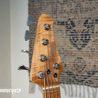 Gregg Guitars PJ5 Bass in Olympic White with an Chambered Ash Body and Roasted Flamed Maple Neck image 13