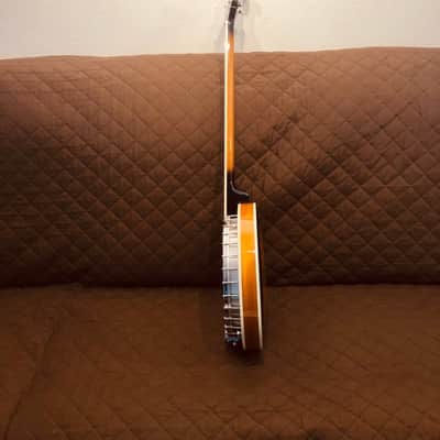 Washburn B10 Americana Series Remo Top Wood Mahogany Neck 5-String Banjo w/Mahogany Resonator image 4