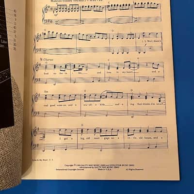 Don McLean Love Tracks Piano, Vocal & Guitar Sheet Music Book Bild 3