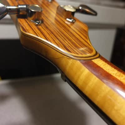 Fernandes FAB-170 1979 Natural image 16