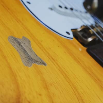 Fender Custom Shop Alligator Strat Masterbuilt image 5