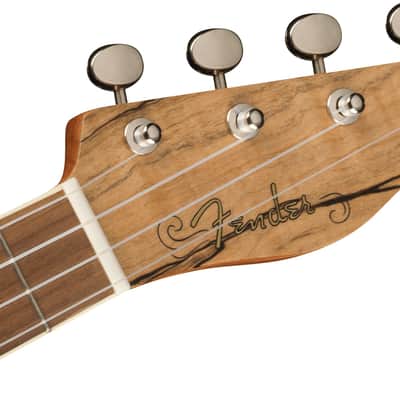 Fender Zuma Exotic Concert Ukulele 2022 - Present - Natural Spalted Maple image 4