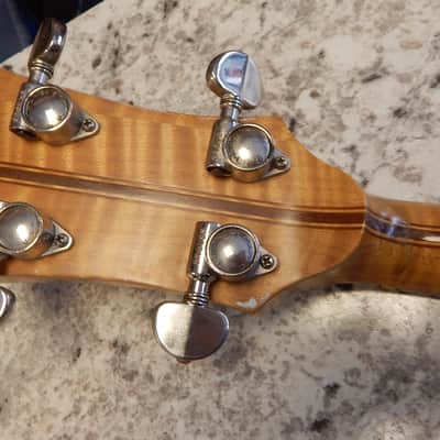 ODE 1965 ODE Model 42 Grade 1 Banjo image 11