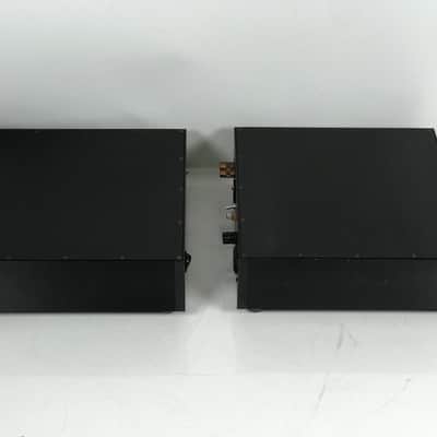 Gilmore Audio Raptor 300D Monoblock Amplifier Pair image 6
