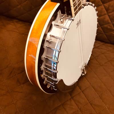 Washburn B10 Americana Series Remo Top Wood Mahogany Neck 5-String Banjo w/Mahogany Resonator image 9