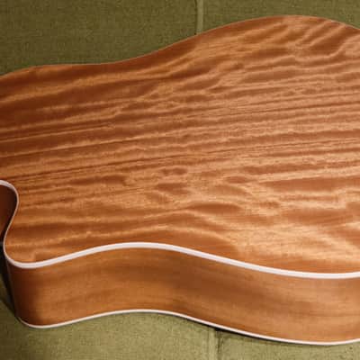 Nashville Guitar Works D10CE EB 2023 - Edgeburst image 8