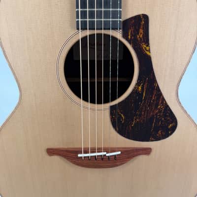 Lowden F-10 Cedar and Rosewood image 4