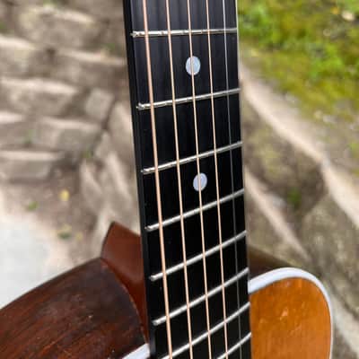 Bruno Parlor, Guitar, Brazilian rosewood, sides and back 1920s image 13