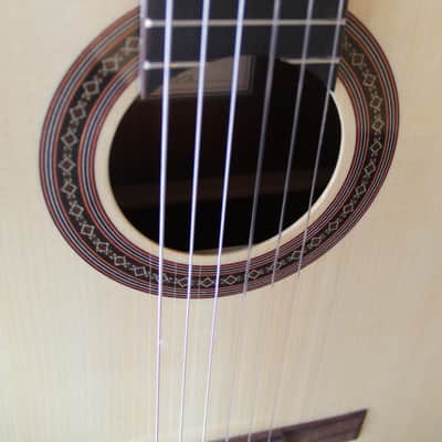 Brand New Cordoba C5-CE Acoustic/Electric Spruce Top Classical Guitar with Gig Bag image 5