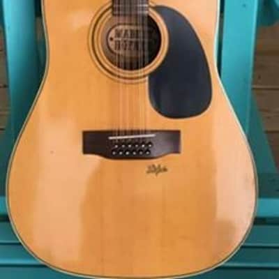Hofner 4920 12-String Guitar-1979. Rare and Beautiful! Hard Shell Case Included image 1