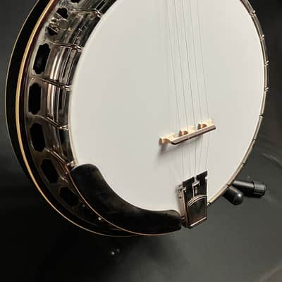 Recording King RK-R35-BR "Madison" Resonator Banjo with Bell Brass Tone Ring image 3
