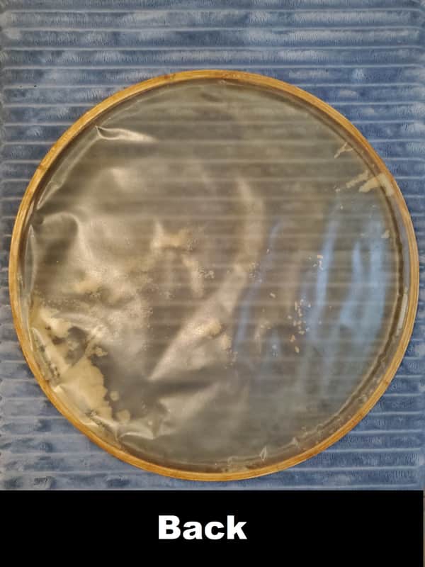 WOW! 1920 1930 1940s * 15" CALFSKIN DRUMHEAD N.O.S. SNARE BOTTOM * Factory labeled "SPECIAL" SELECTION & GOLD CROWN! Highest possible QUALITY! *New Old Stock* in ORIGINAL PACKAGING* Never been on a drum! Calf Skin Head image 1