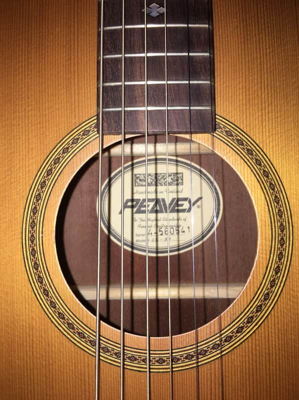 Peavy SD-9P 1995 | Reverb
