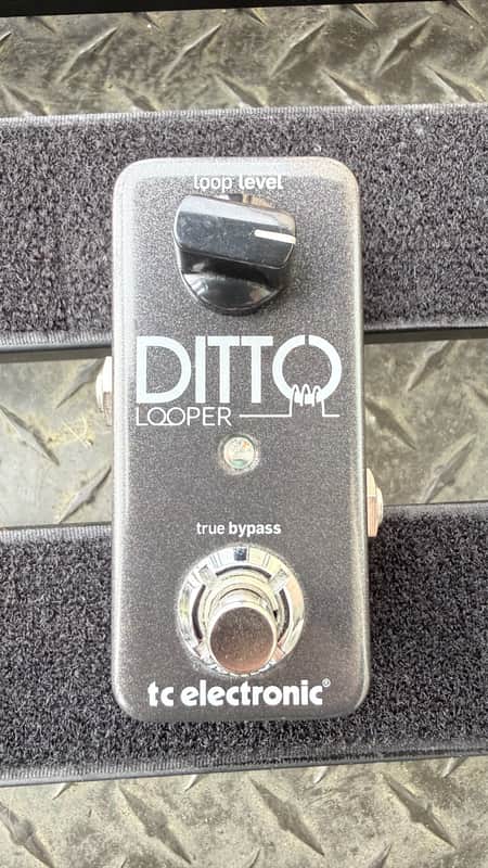 TC Electronic Ditto Looper